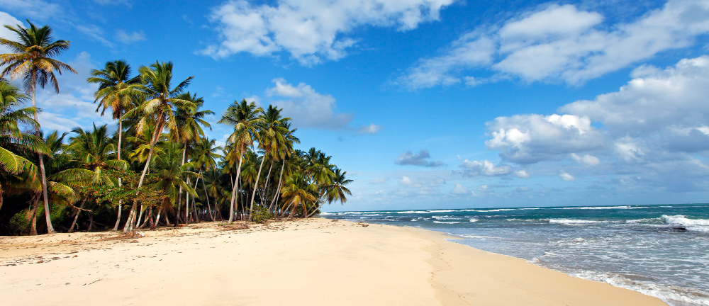 Isla Saona